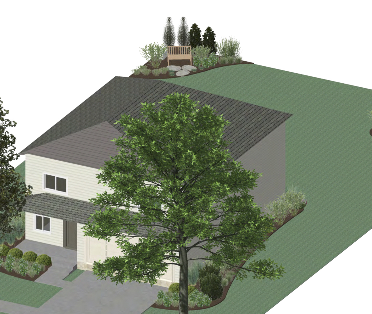  Landscape-design-backyard-shared-property-line-new-construction 