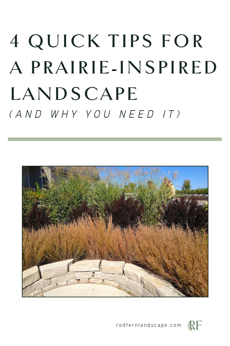  red-fern-landscape-design-central-iowa-landscaping-prairie-inspired-garden 