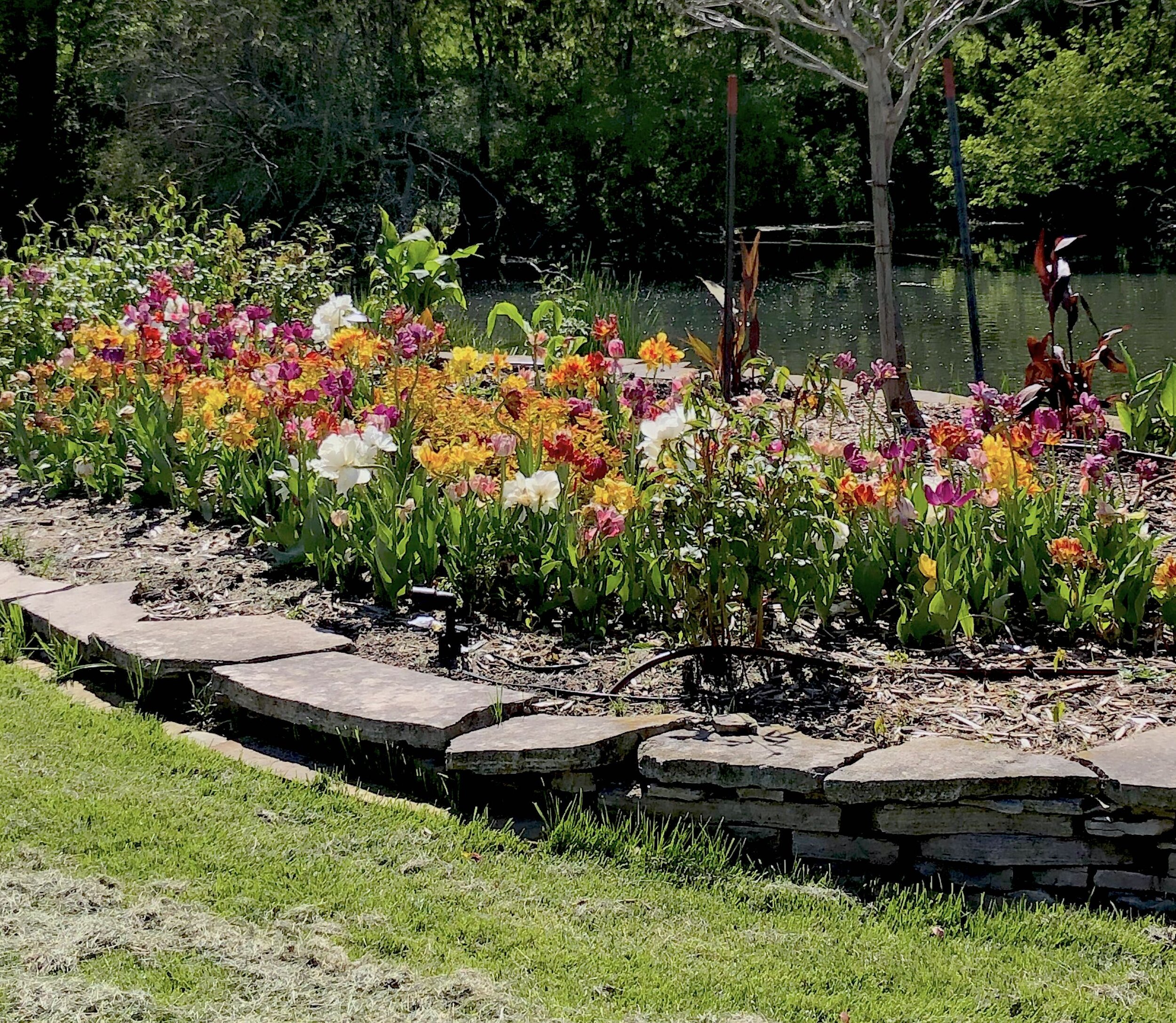  Red-Fern-Landscape-Design-Bulb-Planting-Iowa-Des Moines-Landscaping-Garden-Flowers 