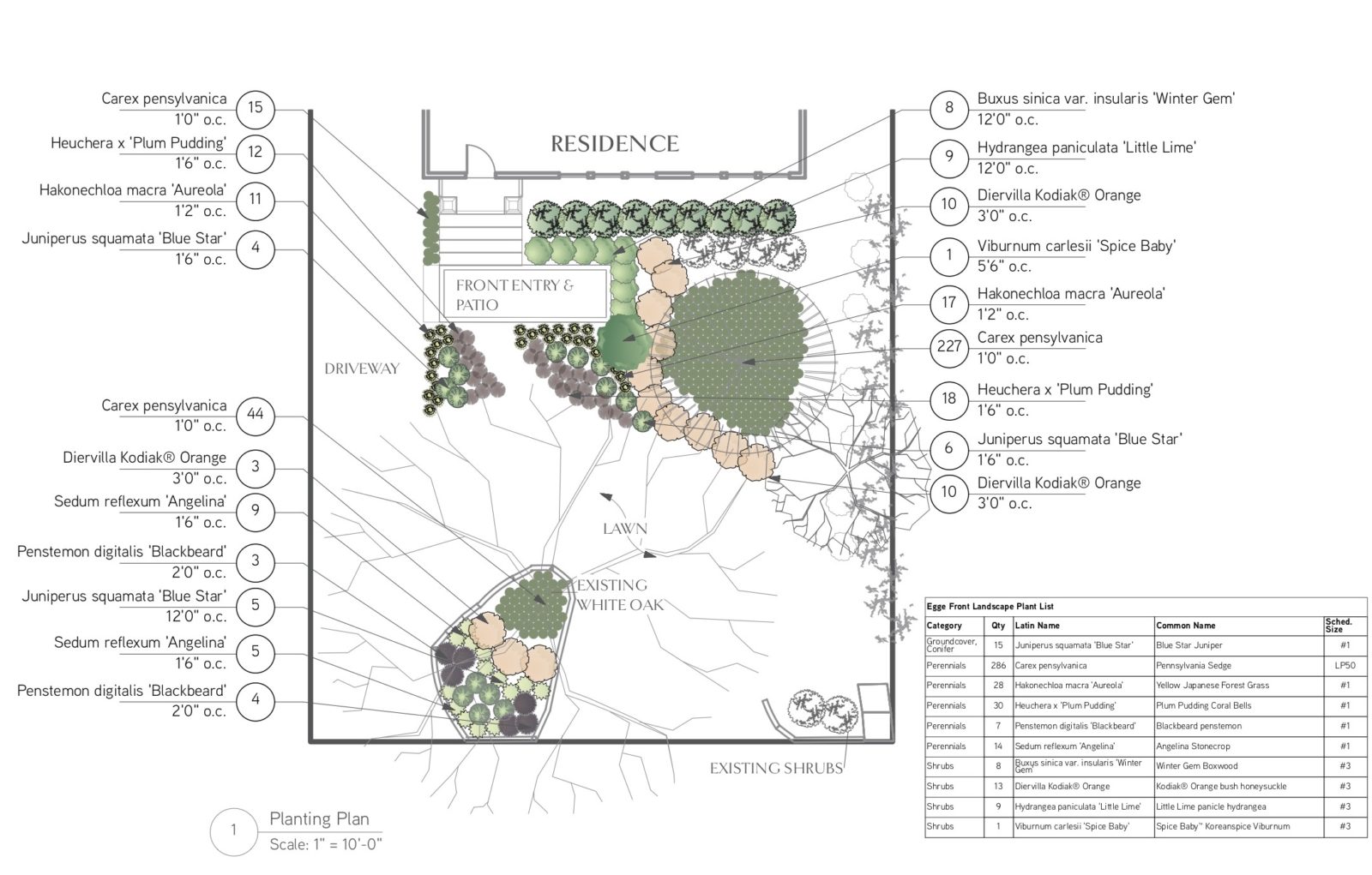 In the Studio | Ingersoll Park Front Yard Design - redfernlandscape.com